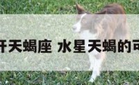 水星离开天蝎座 水星天蝎的可怕之处