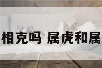 属虎跟属狗相克吗 属虎和属狗的相合吗