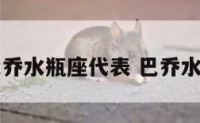 巴乔水瓶座代表 巴乔水平