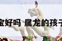 属龙的宝宝好吗 属龙的孩子是什么命