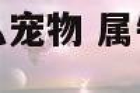 属牛的人适合什么宠物 属牛的适合养什么动物旺