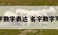 名字数字表达 名字数字写法