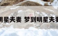 梦到明星夫妻 梦到明星夫妻跳舞