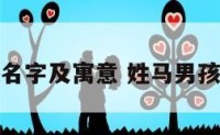 姓马的男孩名字及寓意 姓马男孩名字大全集