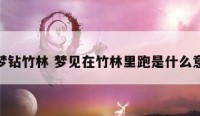 解梦钻竹林 梦见在竹林里跑是什么意思