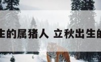 秋季出生的属猪人 立秋出生的猪宝宝