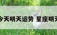 星座今天明天运势 星座明天运气