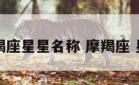 摩羯座星星名称 摩羯座 星星