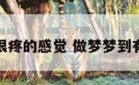 梦见很疼的感觉 做梦梦到有痛感