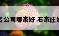 石家庄起名公司哪家好 石家庄好听的名字