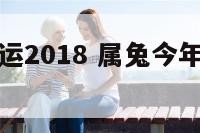 属兔今年财运2018 属兔今年财运行不行呀