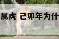 己卯年为什么属虎 己卯年为什么属虎不能结婚