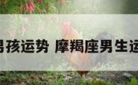 摩羯座男孩运势 摩羯座男生运势2021