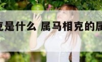 属马的相克是什么 属马相克的属相 相合的有哪些
