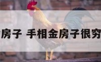 手相金房子 手相金房子很穷的图片