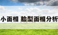 脸型小面相 脸型面相分析图解