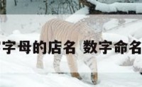 关于数字字母的店名 数字命名的店铺名