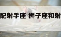 狮子座比较配射手座 狮子座和射手座的适配度