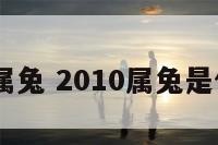 2010年属兔 2010属兔是什么命人