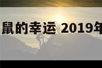 2019年属鼠的幸运 2019年属鼠的财运怎样