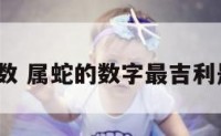 属蛇的数 属蛇的数字最吉利是哪些?