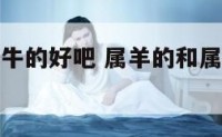 属羊的跟属牛的好吧 属羊的和属牛的在一起合适吗