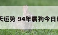 94年今天运势 94年属狗今日运势财运