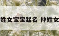 仲姓女宝宝起名 仲姓女孩