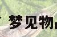 梦见物品被抢了 梦见物品被抢了啥意思