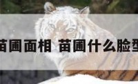 苗圃面相 苗圃什么脸型