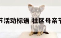 社区母亲节活动标语 社区母亲节活动文案