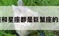 上升星座和星座都是巨蟹座的简单介绍