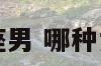 哪种女喜欢天蝎座男 哪种女喜欢天蝎座男的
