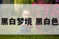 你的黑白梦境 黑白色梦境