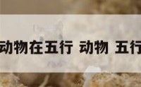 动物在五行 动物 五行