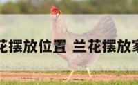 家居兰花摆放位置 兰花摆放家中位置