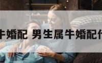 男生属牛婚配 男生属牛婚配什么属相
