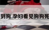 孕妇等到狗 孕妇看见狗狗死在面前