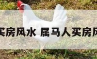 属马人买房风水 属马人买房风水讲究