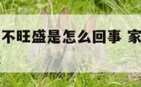 家里的植物不旺盛是怎么回事 家里的植物都长得不旺盛
