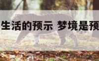 梦境是以后生活的预示 梦境是预测未来还是相反