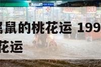 1996年属鼠的桃花运 1996年老鼠2021年桃花运