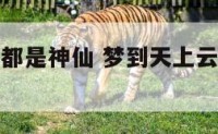 梦到天上云都是神仙 梦到天上云都是神仙在飞