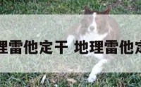 地理雷他定干 地理雷他定片