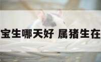 属猪宝宝生哪天好 属猪生在哪天好