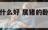 属猪的卧室放什么好 属猪的卧室放什么好吉利