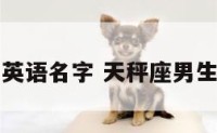 天秤座男英语名字 天秤座男生英文名字