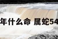 属蛇五四年什么命 属蛇54岁什么命