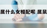 属鼠男应和属什么女相配呢 属鼠男和属什么女婚配最好