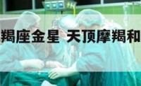 天顶星座摩羯座金星 天顶摩羯和天顶天蝎哪个厉害